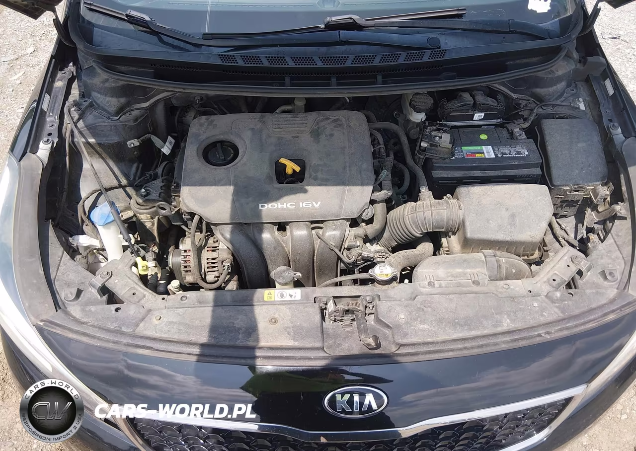 2017 Kia Forte Lx VIN:3KPFK4A76HE054025 - 10