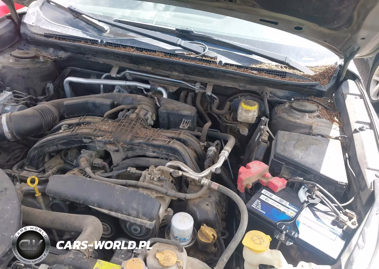 2020 Subaru Outback Premium VIN:4S4BTACC7L3111414 - 10