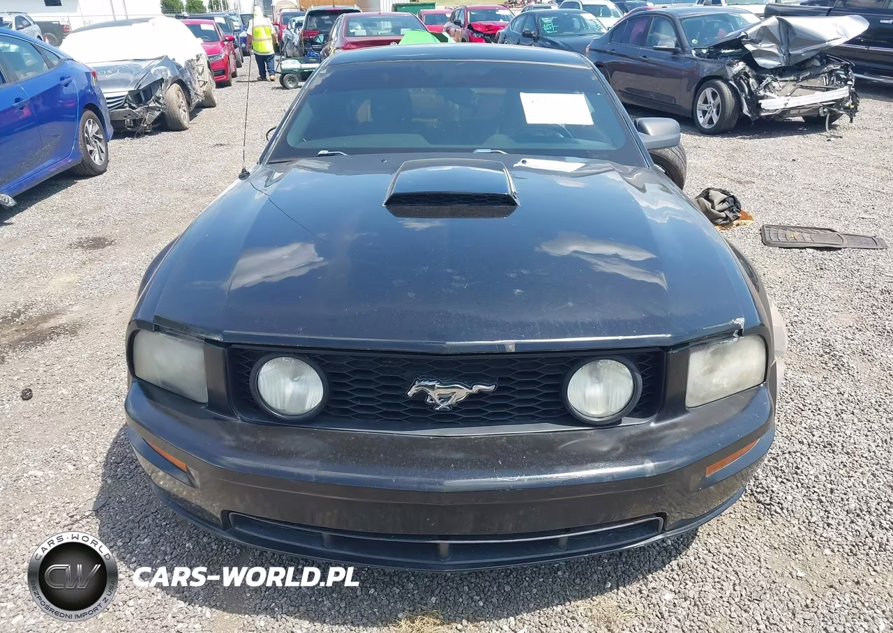 2008 Ford Mustang Gt Deluxe-Gt Premium VIN:1ZVHT82H185169919 - 12
