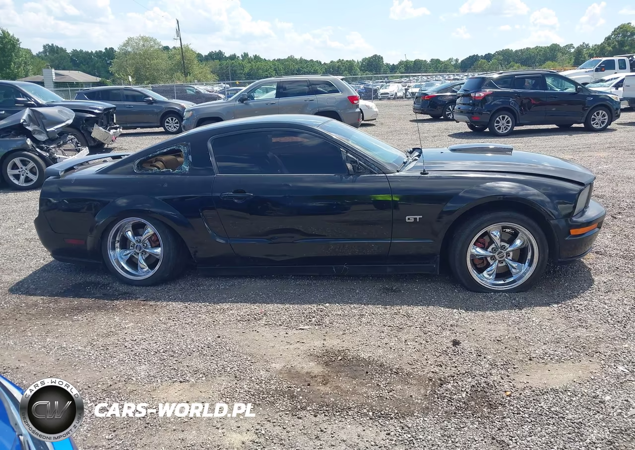 2008 Ford Mustang Gt Deluxe-Gt Premium VIN:1ZVHT82H185169919 - 13