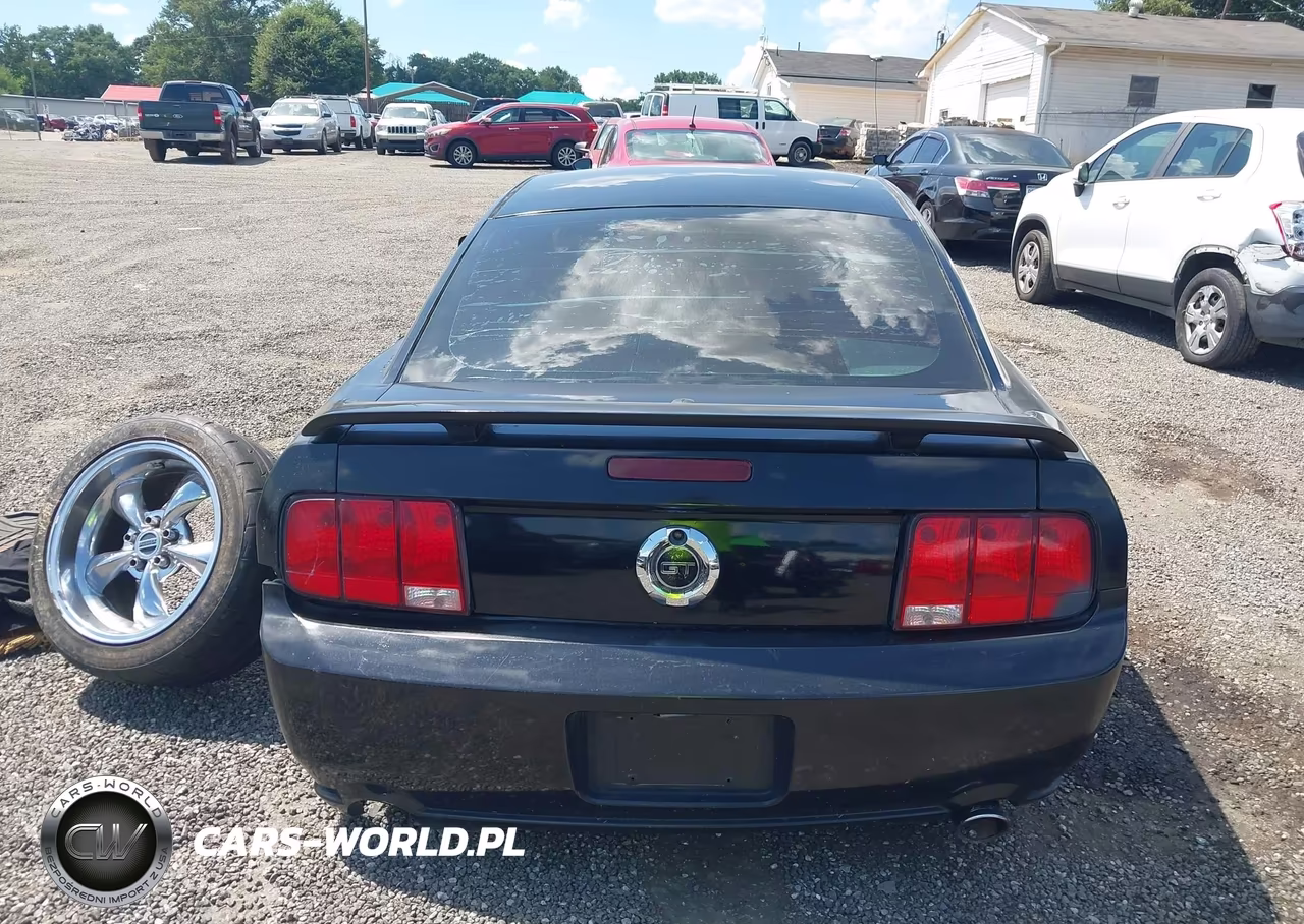 2008 Ford Mustang Gt Deluxe-Gt Premium VIN:1ZVHT82H185169919 - 16