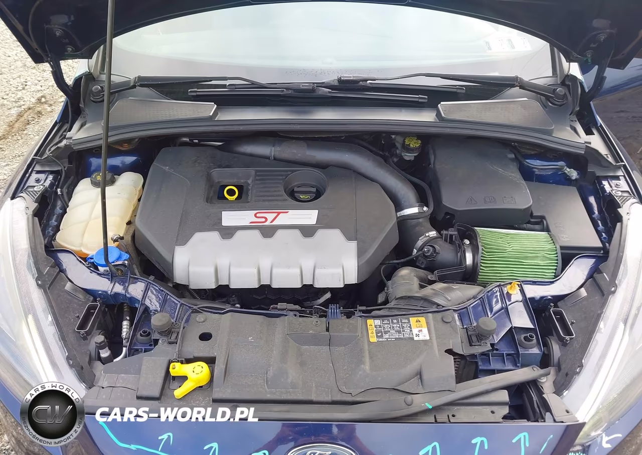 2016 Ford Focus St VIN:1FADP3L98GL375710 - 10