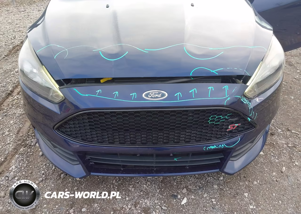 2016 Ford Focus St VIN:1FADP3L98GL375710 - 6