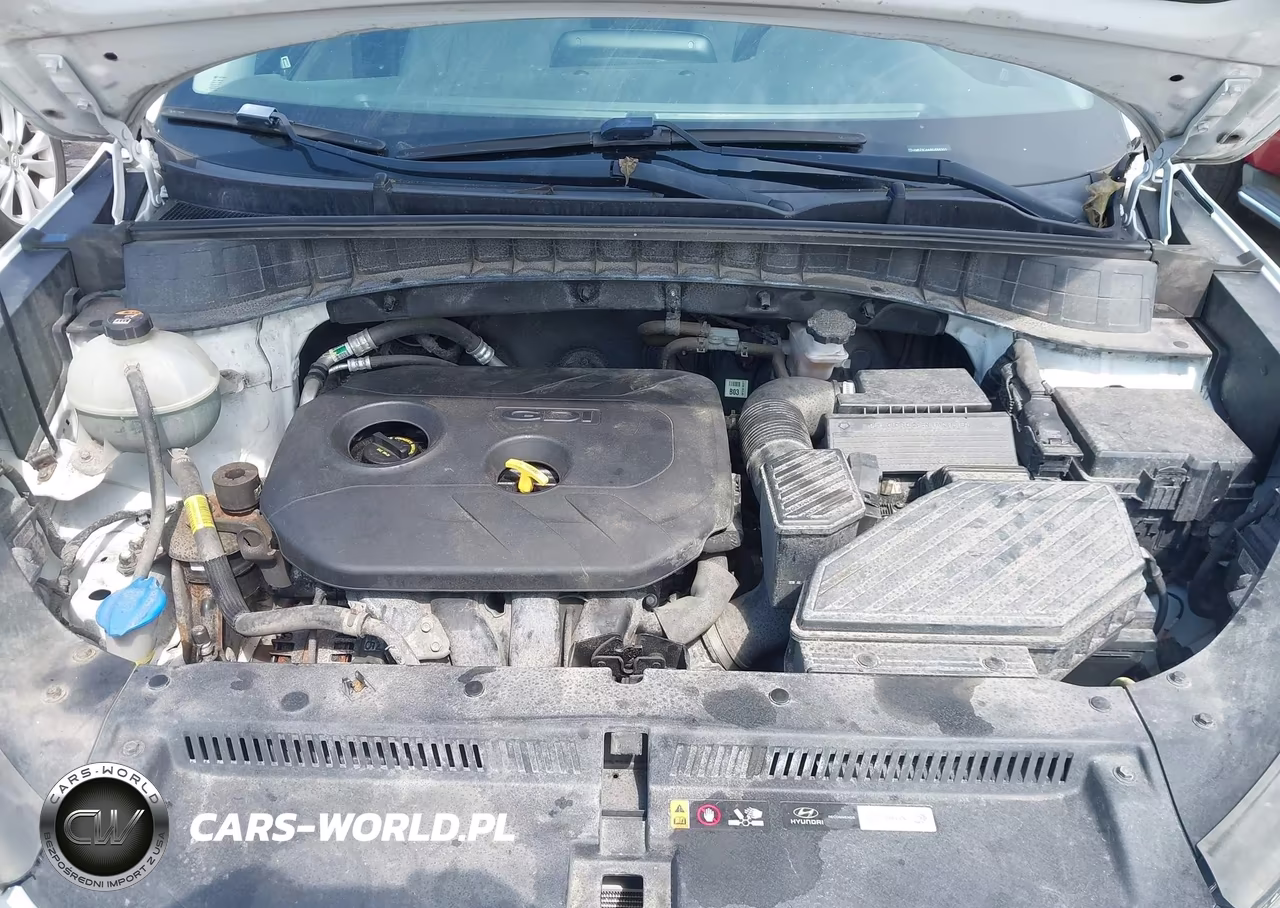 2019 Hyundai Tucson Value VIN:KM8J3CA44KU066301 - 10