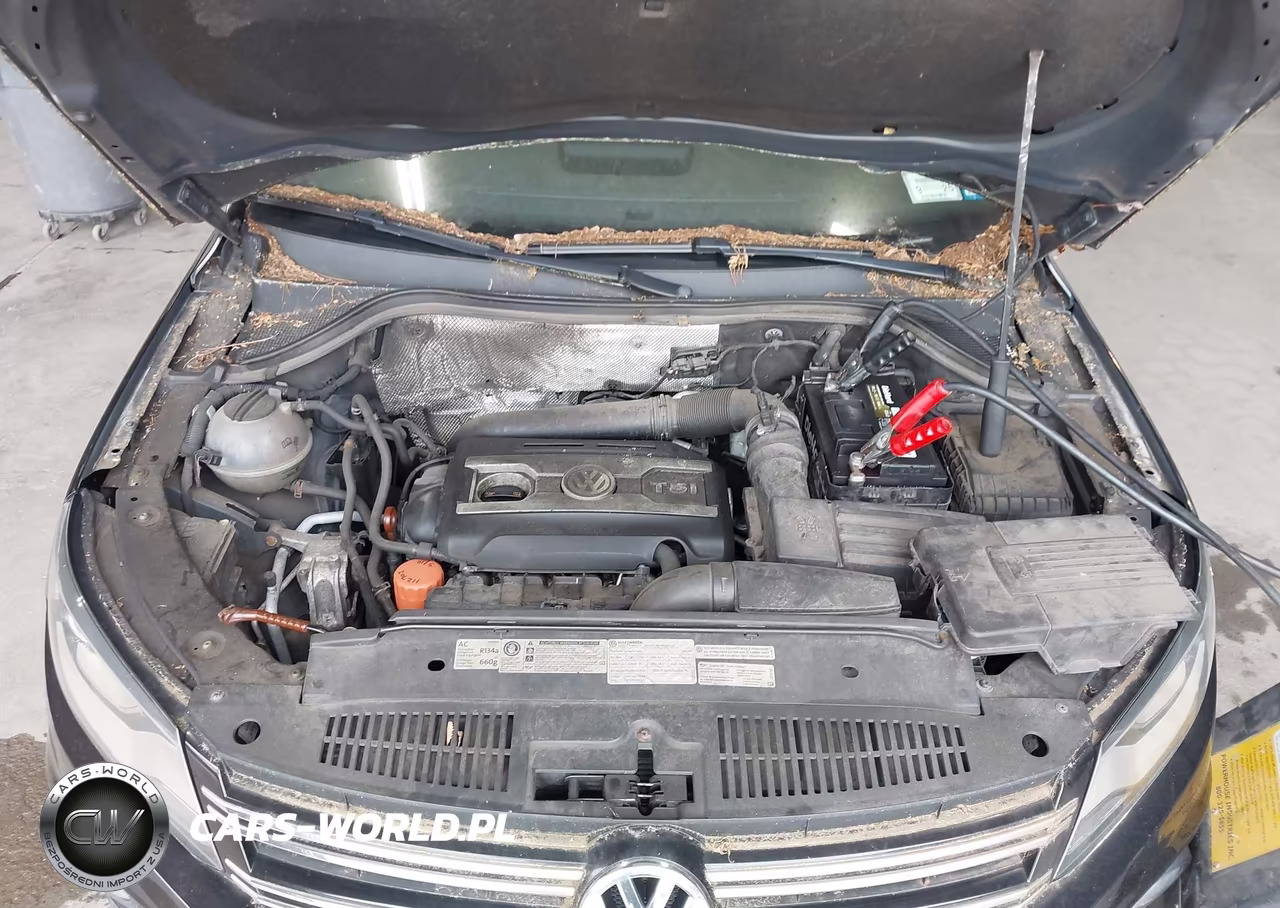 2012 Volkswagen Tiguan Sel VIN:WVGBV7AX9CW534237 - 10