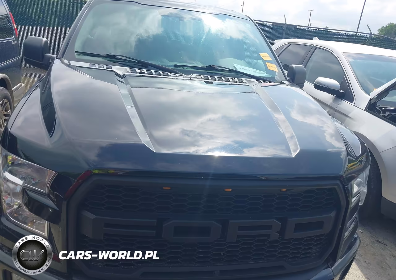 2017 Ford F-150 Xl VIN:1FTEW1EP6HFB79203 - 12