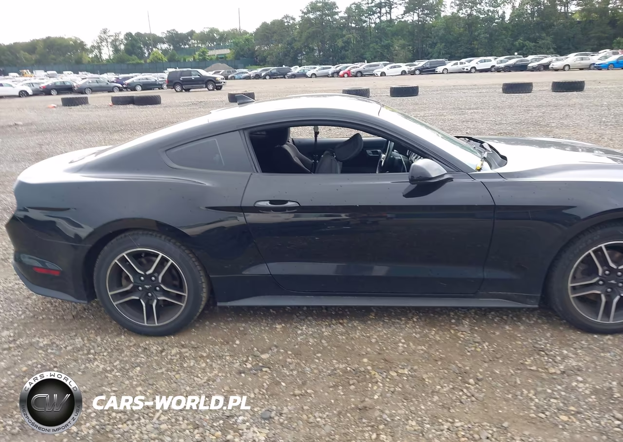 2021 Ford Mustang Ecoboost Fastback VIN:1FA6P8TH5M5134524 - 13