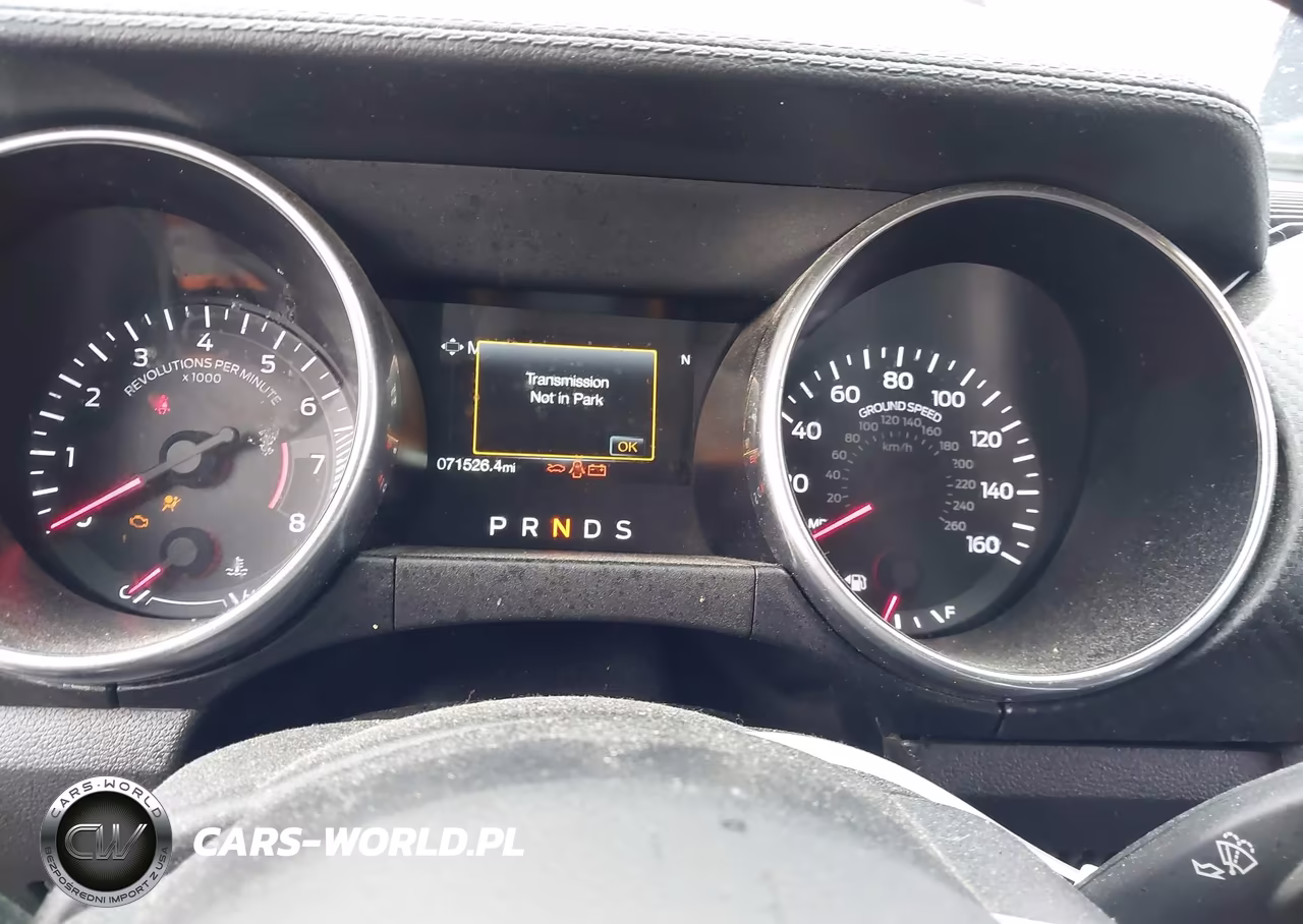 2021 Ford Mustang Ecoboost Fastback VIN:1FA6P8TH5M5134524 - 15