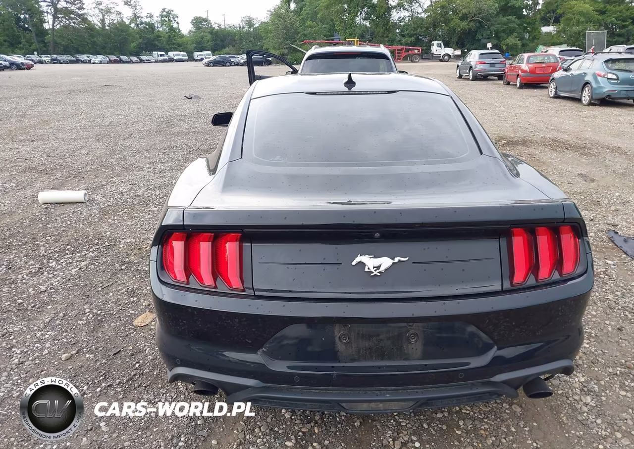 2021 Ford Mustang Ecoboost Fastback VIN:1FA6P8TH5M5134524 - 16