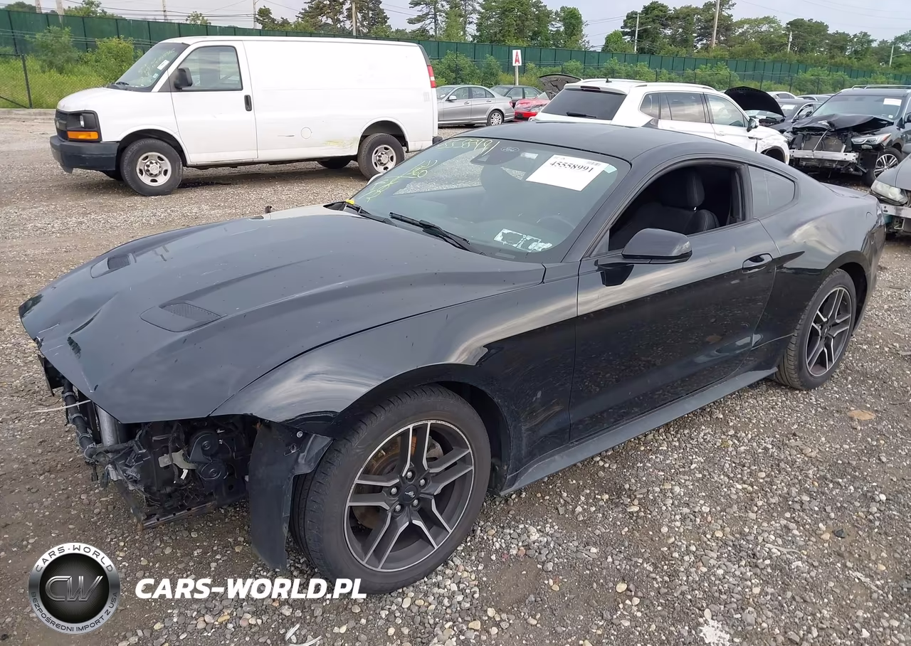 2021 Ford Mustang Ecoboost Fastback VIN:1FA6P8TH5M5134524 - 2