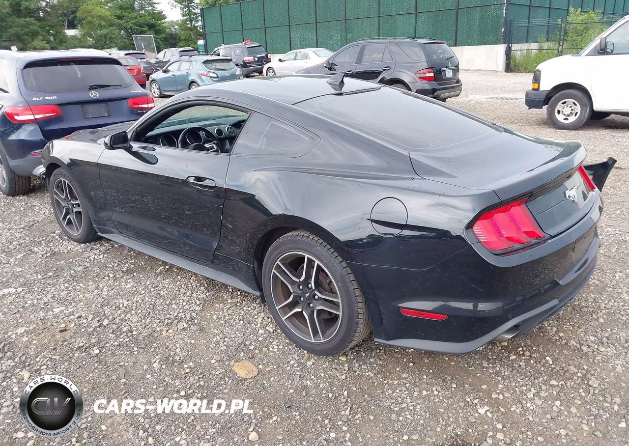 2021 Ford Mustang Ecoboost Fastback VIN:1FA6P8TH5M5134524 - 3