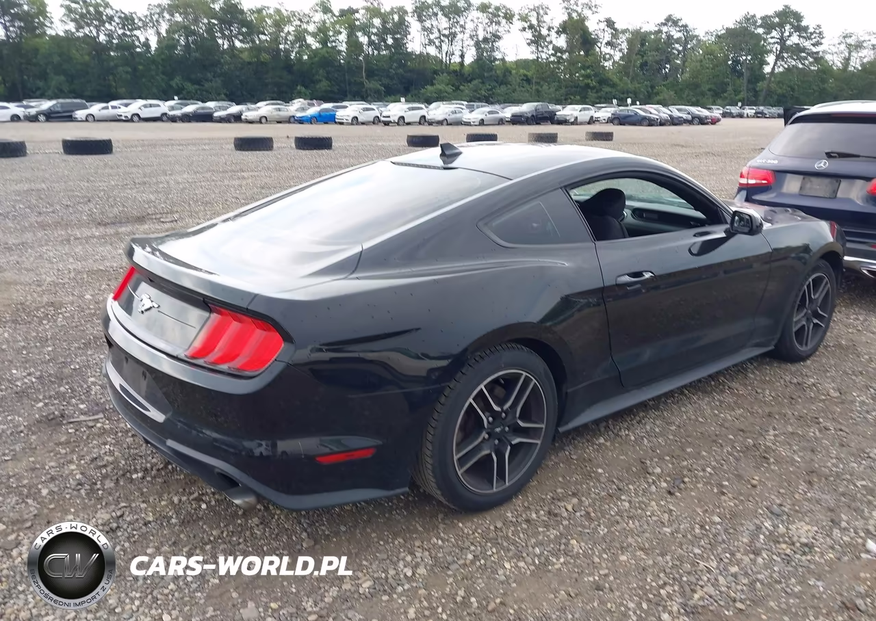 2021 Ford Mustang Ecoboost Fastback VIN:1FA6P8TH5M5134524 - 4
