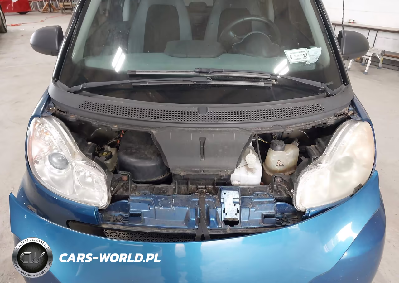 2009 Smart Fortwo Pure VIN:WMEEJ31X39K211390 - 10