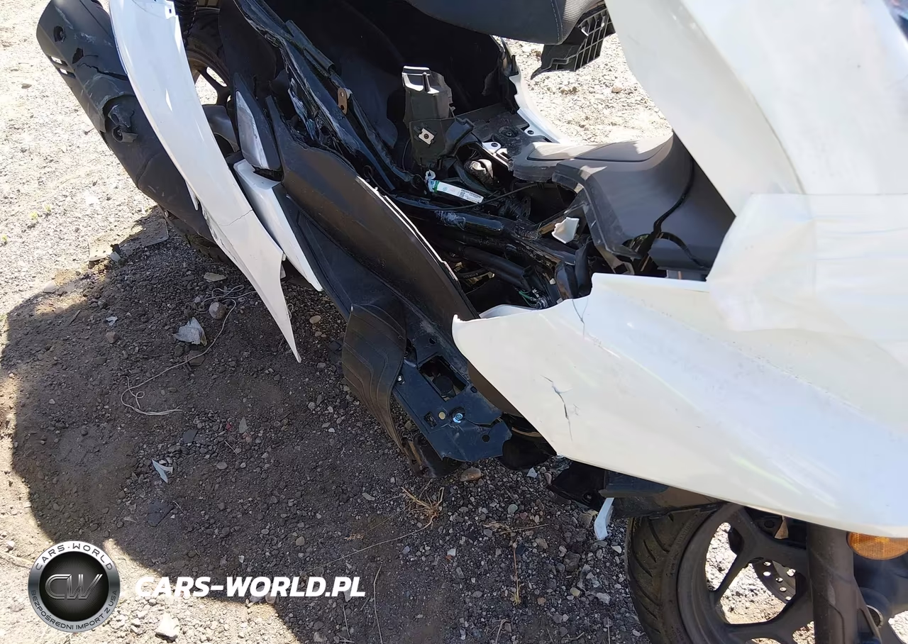 2022 Honda Ww150 A VIN:RLHKF4713NY101023 - 16