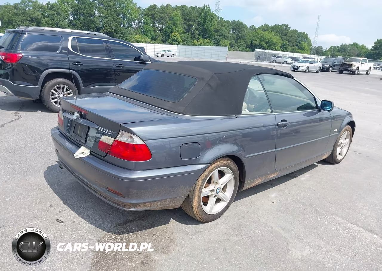 2003 BMW 3 Series 325Ci VIN:WBABS33493PG89633 - 4