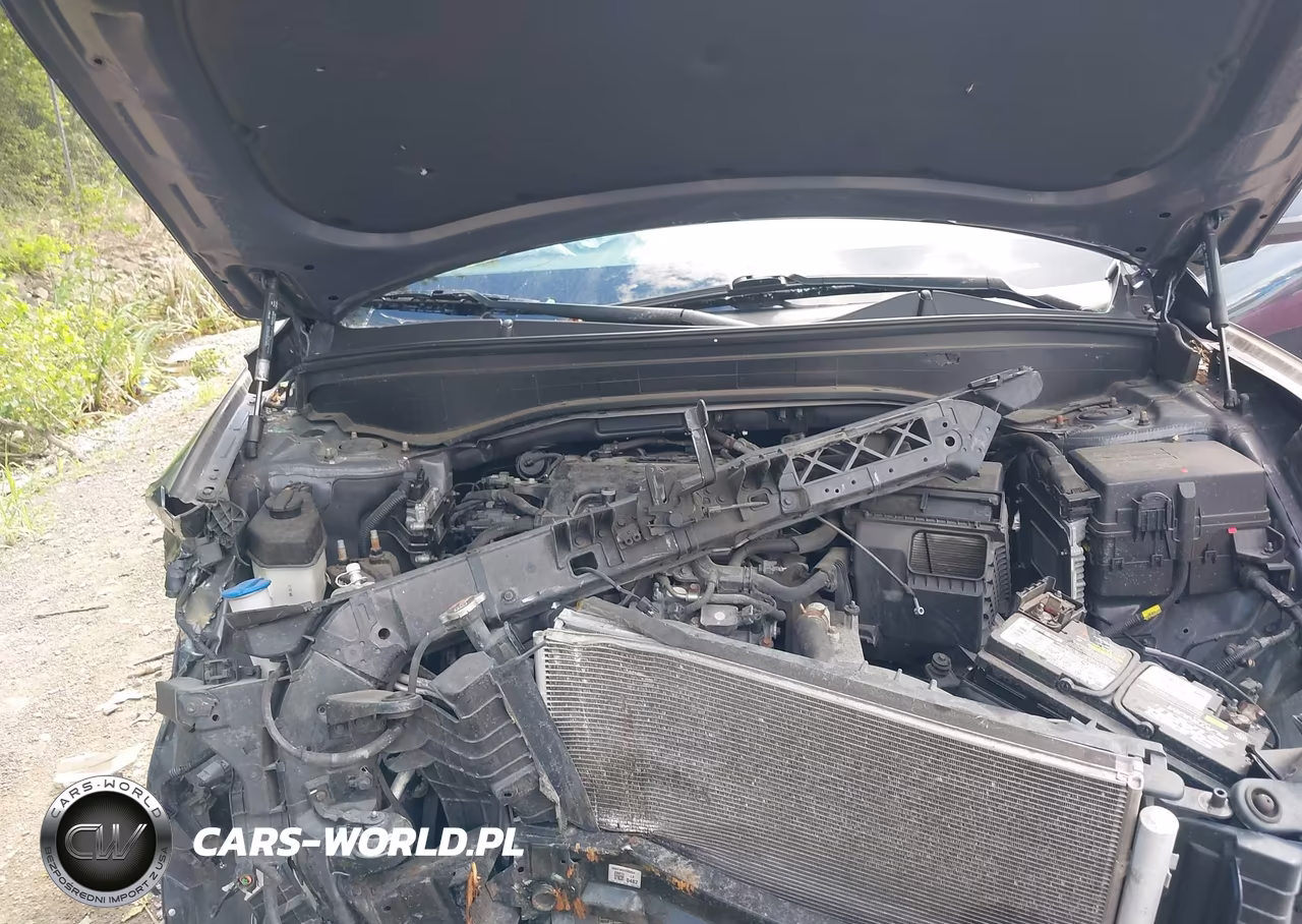 2020 Hyundai Palisade Sel VIN:KM8R4DHE8LU104781 - 10