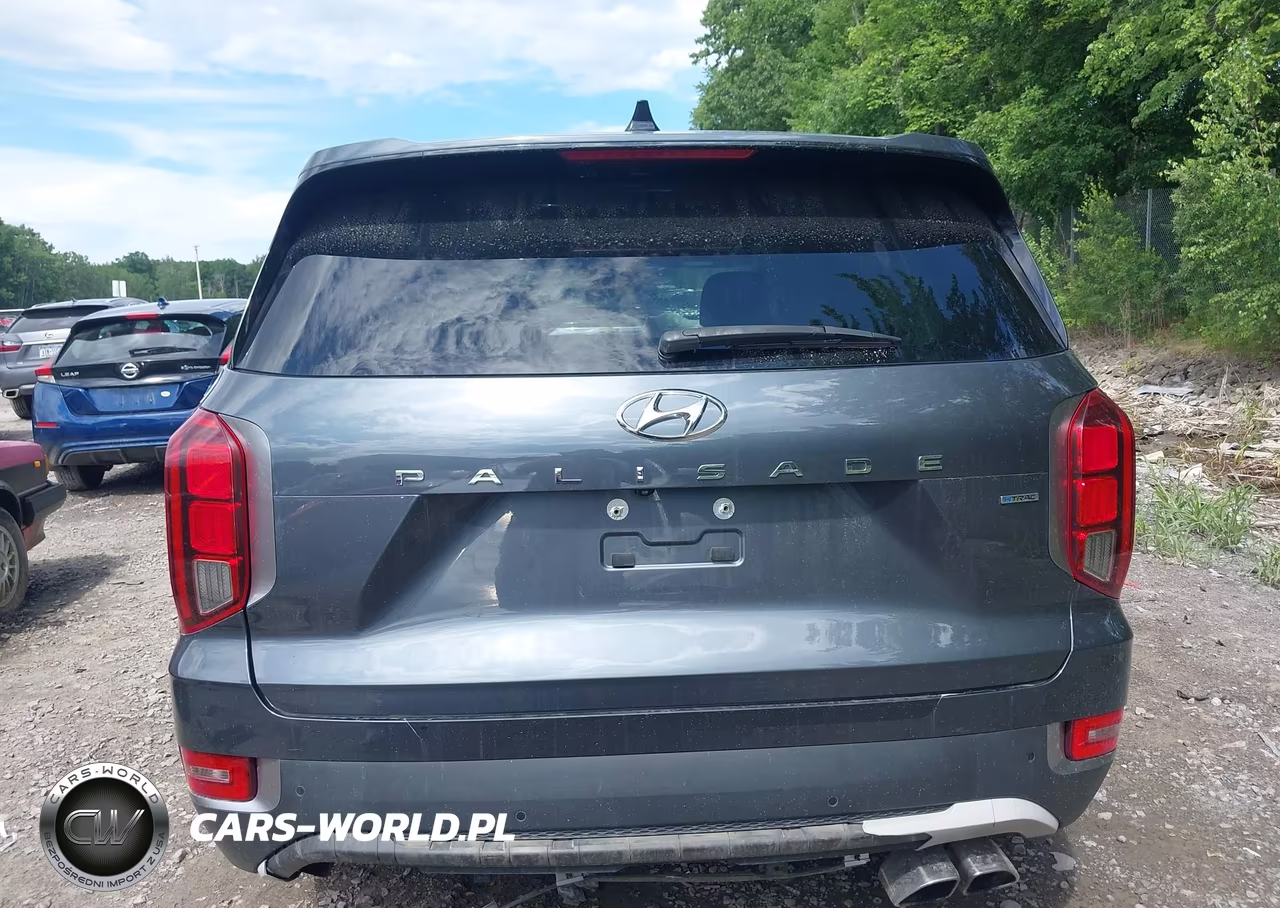 2020 Hyundai Palisade Sel VIN:KM8R4DHE8LU104781 - 16