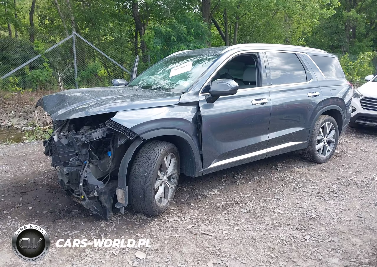 2020 Hyundai Palisade Sel VIN:KM8R4DHE8LU104781 - 2