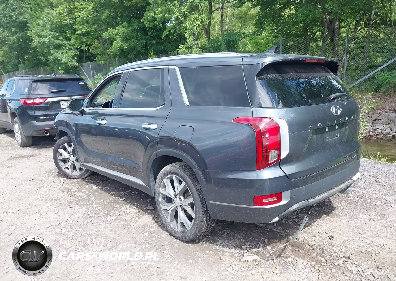 2020 Hyundai Palisade Sel VIN:KM8R4DHE8LU104781 - 3