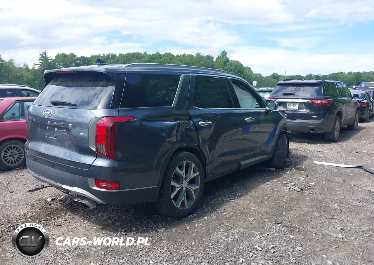 2020 Hyundai Palisade Sel VIN:KM8R4DHE8LU104781 - 4