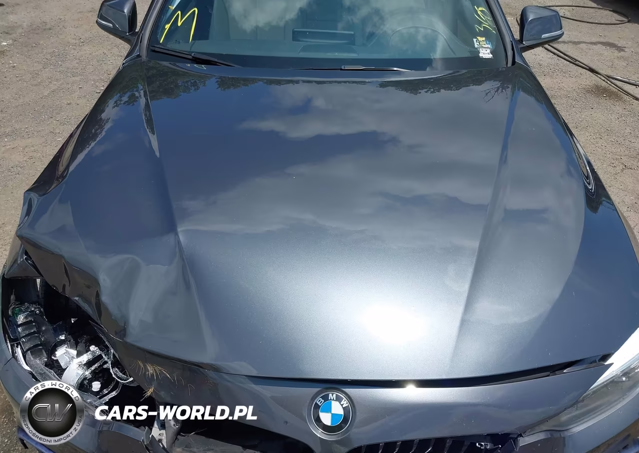 2018 BMW 430I Gran Coupe xDrive VIN:WBA4J3C52JBG96728 - 10