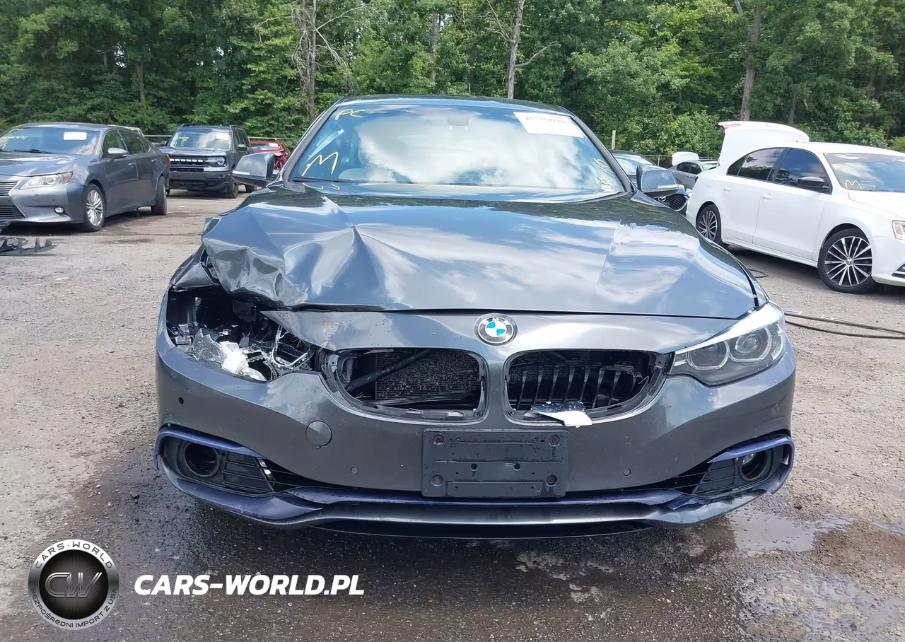 2018 BMW 430I Gran Coupe xDrive VIN:WBA4J3C52JBG96728 - 12
