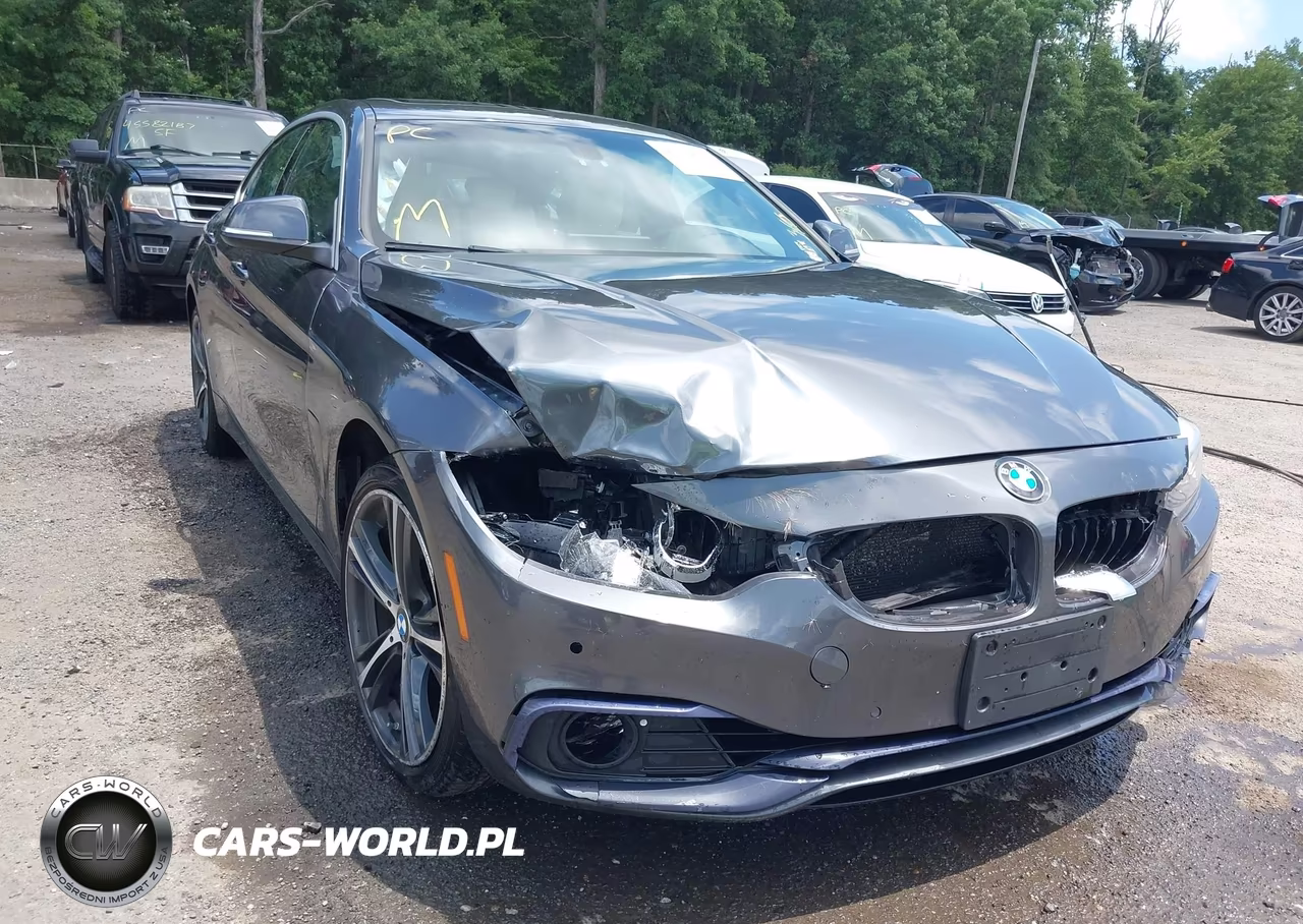 2018 BMW 430I Gran Coupe xDrive VIN:WBA4J3C52JBG96728 - 6