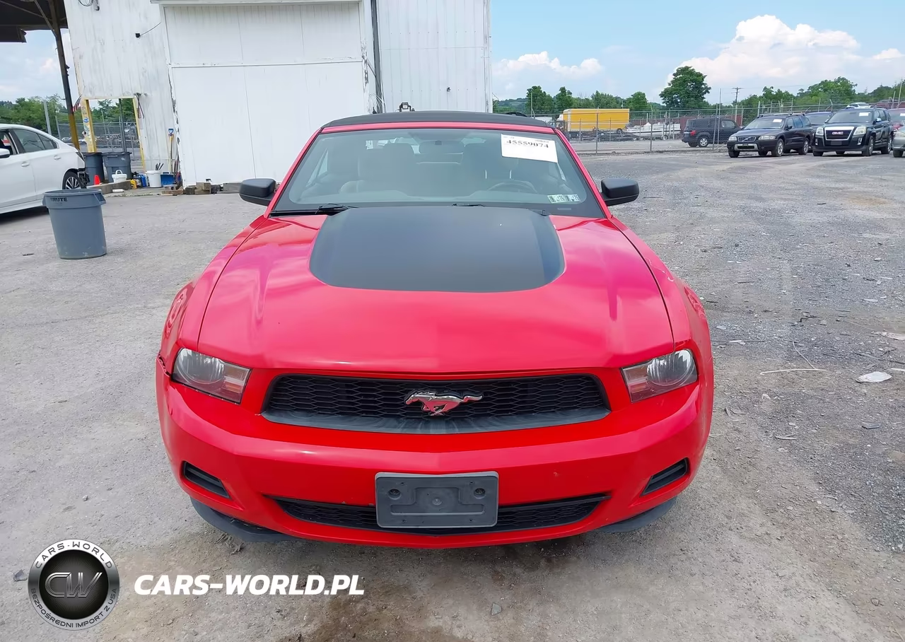 2012 Ford Mustang V6-V6 Premium VIN:1ZVBP8EMXC5203934 - 12