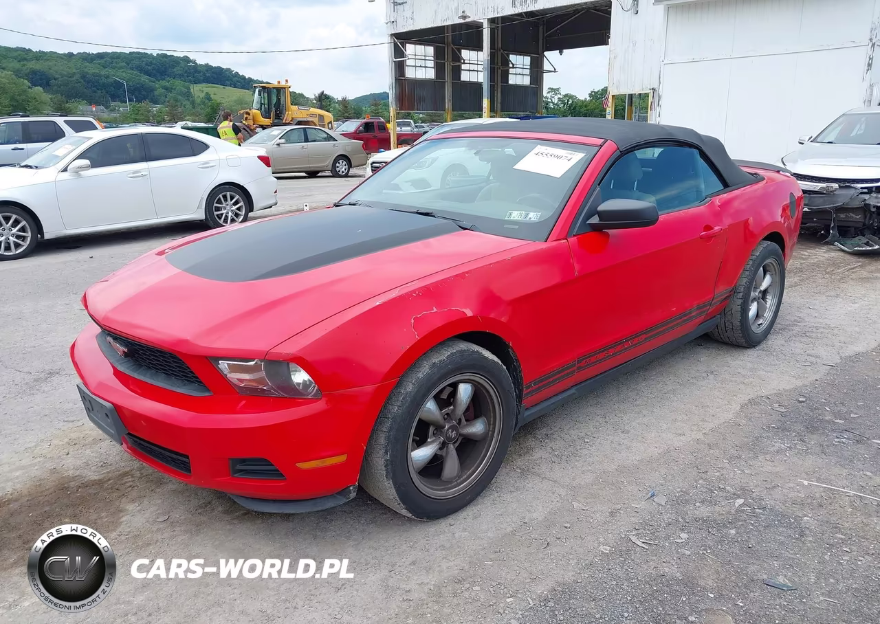 2012 Ford Mustang V6-V6 Premium VIN:1ZVBP8EMXC5203934 - 2