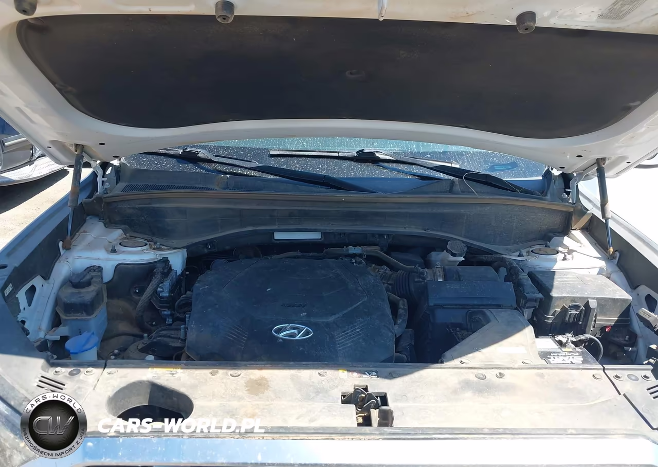2020 Hyundai Palisade Sel VIN:KM8R3DHE0LU073321 - 10