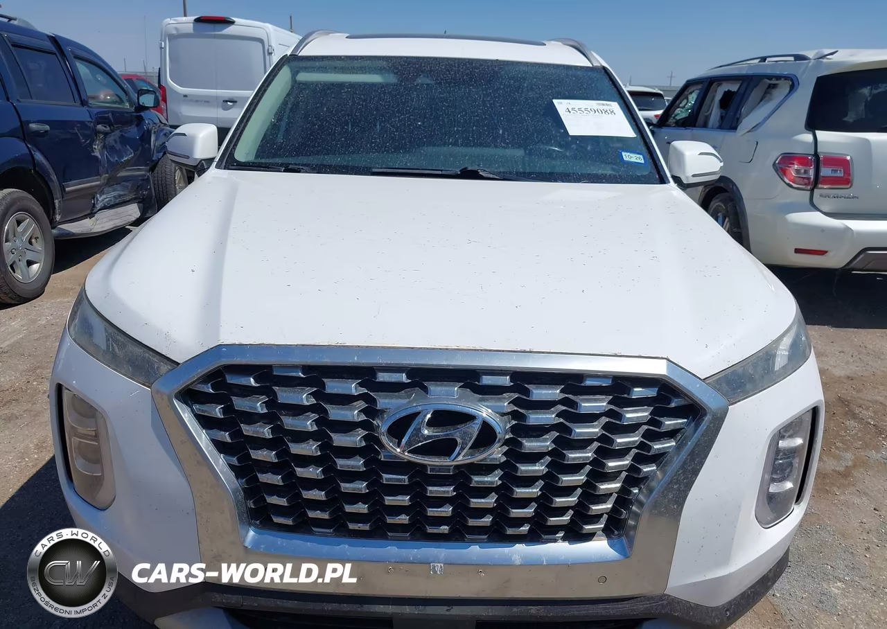 2020 Hyundai Palisade Sel VIN:KM8R3DHE0LU073321 - 12