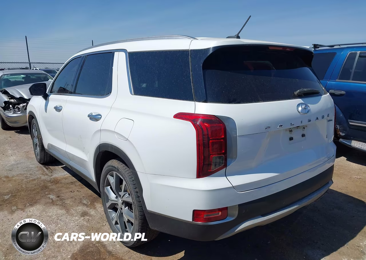 2020 Hyundai Palisade Sel VIN:KM8R3DHE0LU073321 - 3