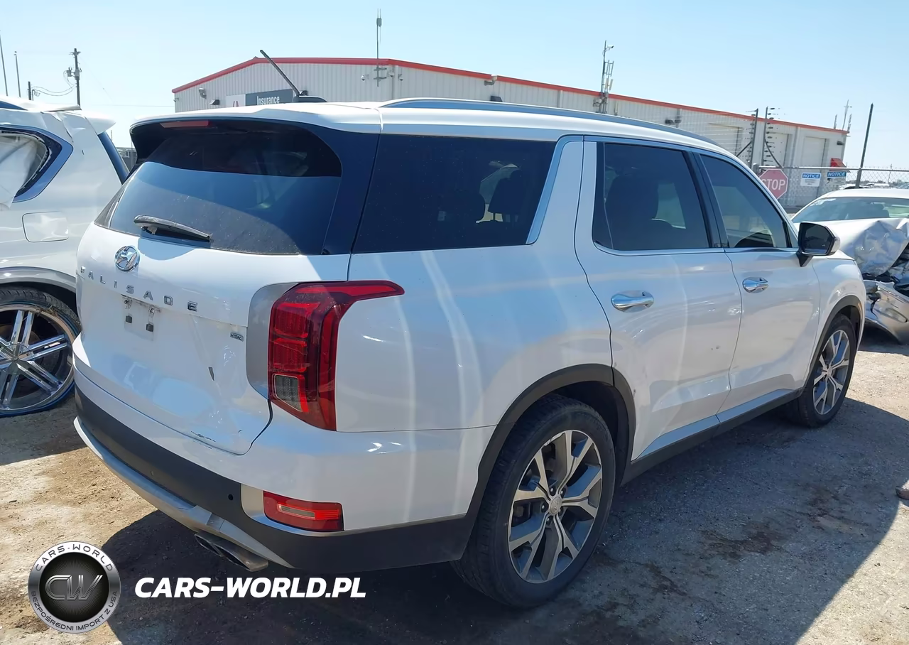 2020 Hyundai Palisade Sel VIN:KM8R3DHE0LU073321 - 4