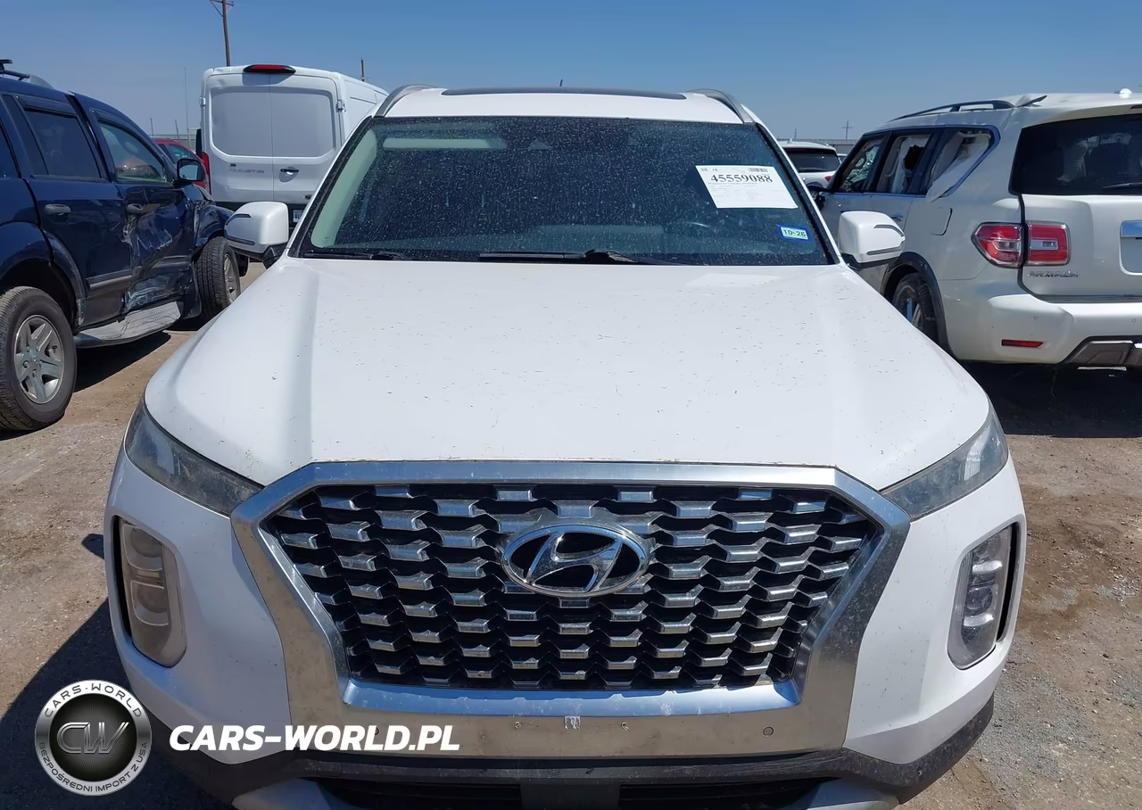 2020 Hyundai Palisade Sel VIN:KM8R3DHE0LU073321 - 6