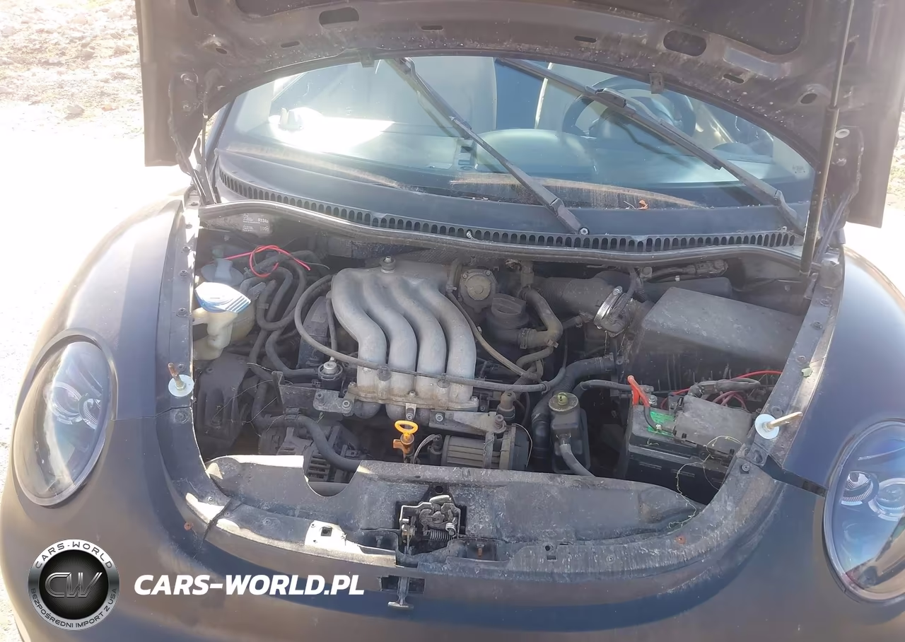 2004 Volkswagen New Beetle VIN:3VWBC21C7YM474926 - 10