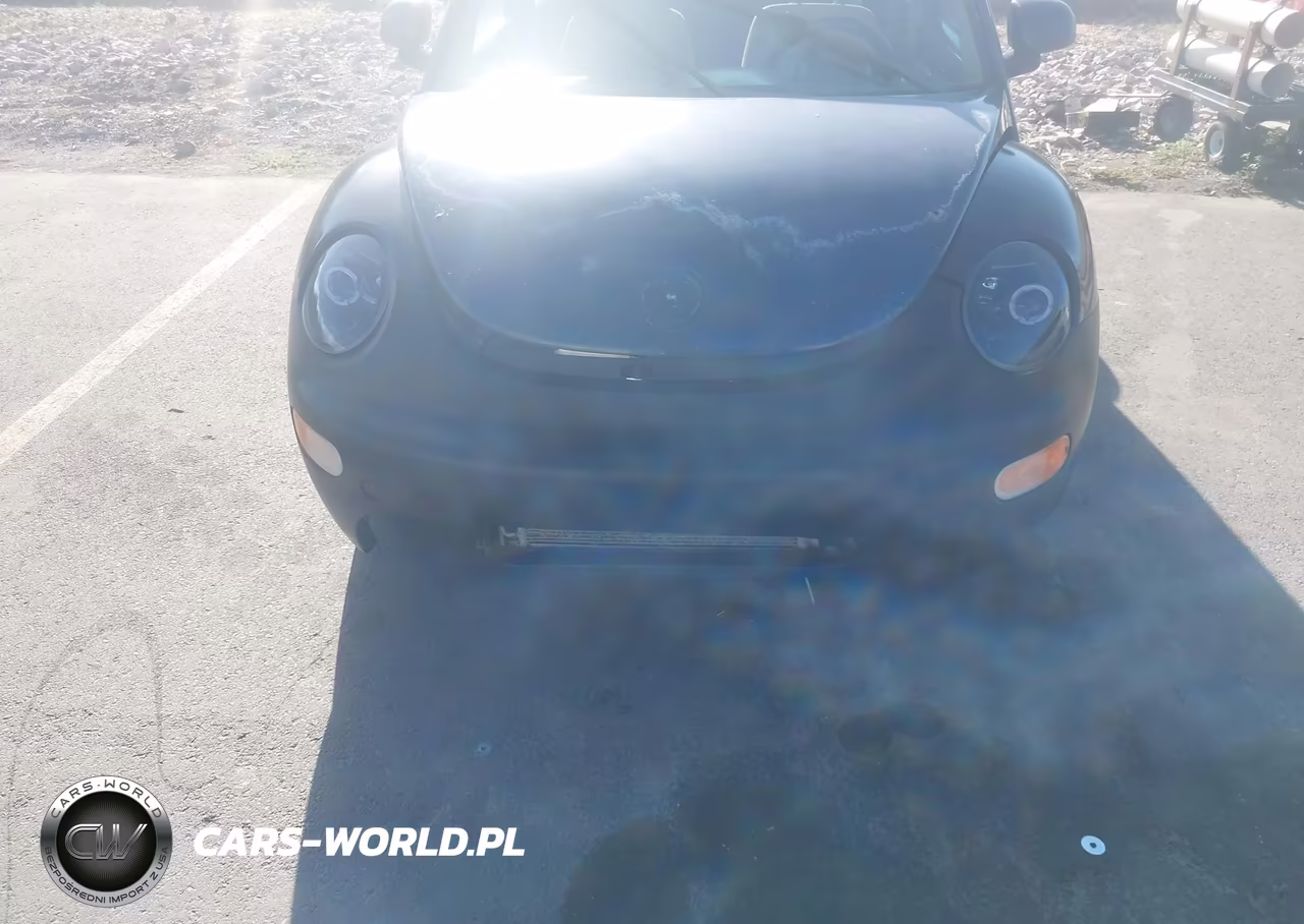 2004 Volkswagen New Beetle VIN:3VWBC21C7YM474926 - 6