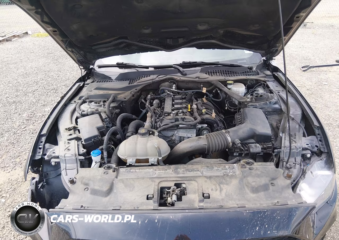2023 Ford Mustang Ecoboost Premium VIN:1FATP8UH8P5109655 - 10
