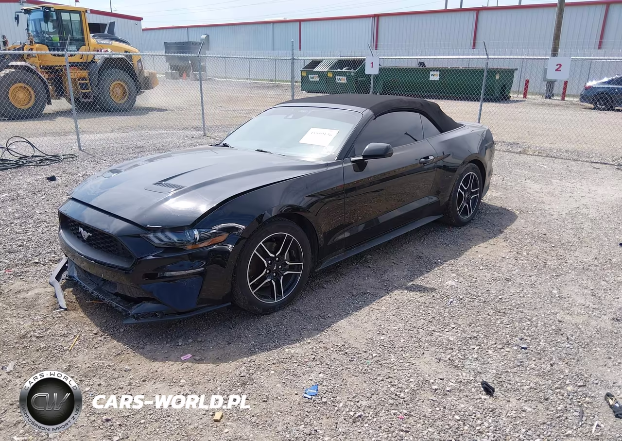 2023 Ford Mustang Ecoboost Premium VIN:1FATP8UH8P5109655 - 2