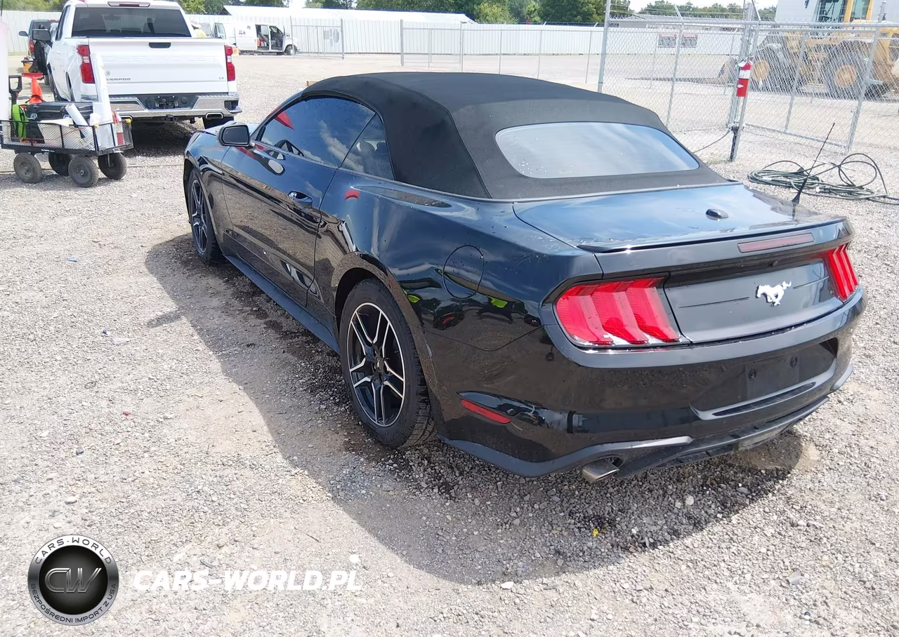 2023 Ford Mustang Ecoboost Premium VIN:1FATP8UH8P5109655 - 3