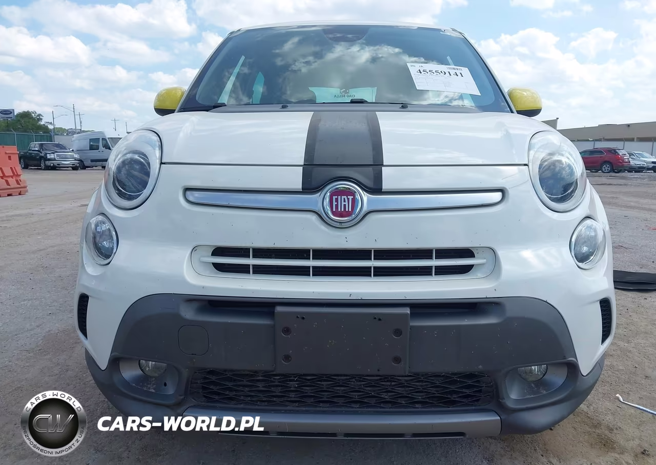 2014 Fiat 500L Trekking VIN:ZFBCFADH3EZ021738 - 6