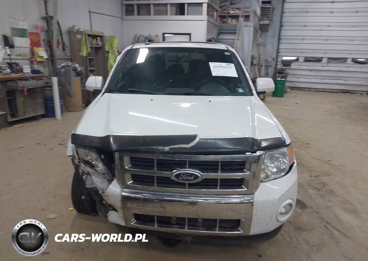 2010 Ford Escape Limited VIN:1FMCU9E74AKA04114 - 12