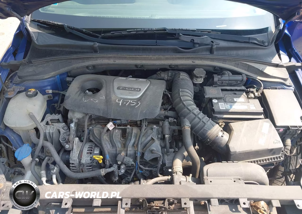2019 Hyundai Elantra Gt N Line VIN:KMHH55LC7KU104550 - 10