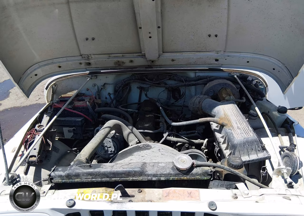 1994 Jeep Wrangler - Yj S VIN:1J4FY19P4RP406452 - 10