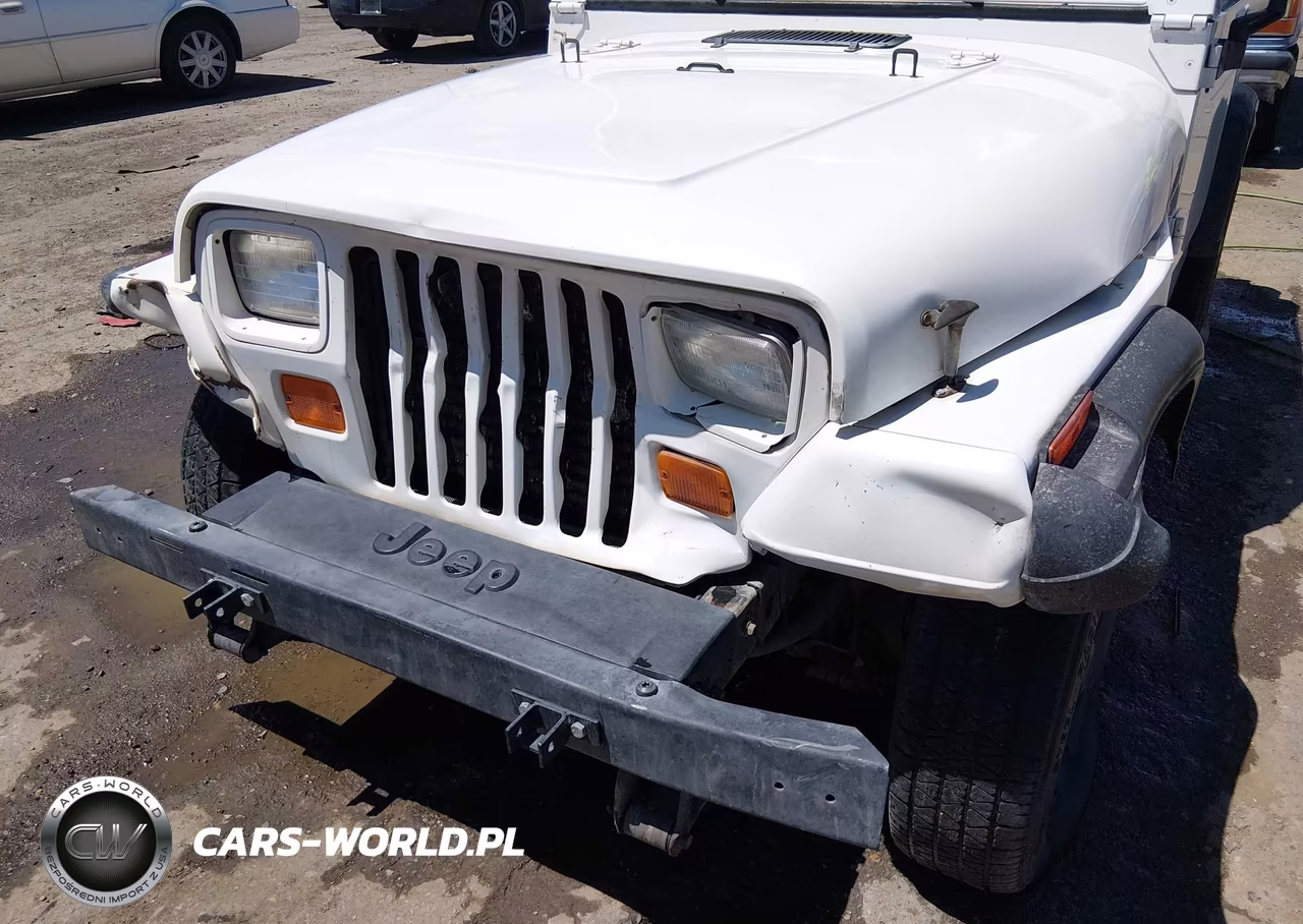 1994 Jeep Wrangler - Yj S VIN:1J4FY19P4RP406452 - 6