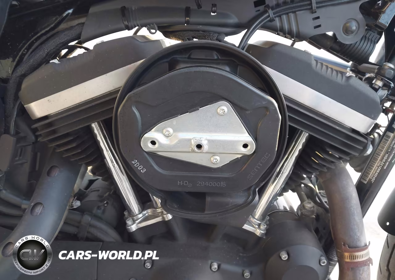 2022 Harley-Davidson Xl883 N VIN:1HD4LE21XNB402453 - 8
