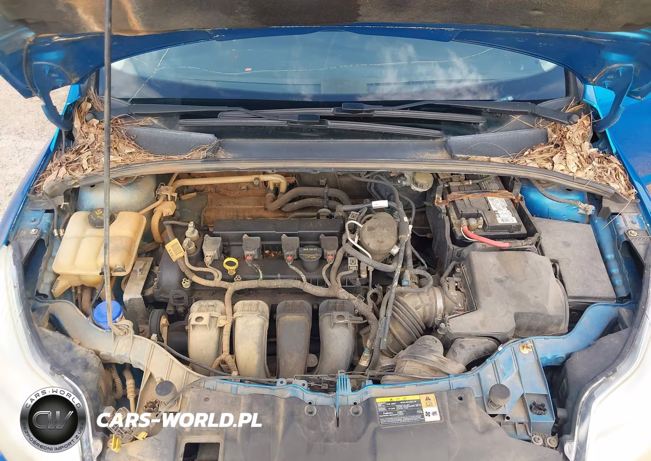 2014 Ford Focus Se VIN:1FADP3K27EL137767 - 10
