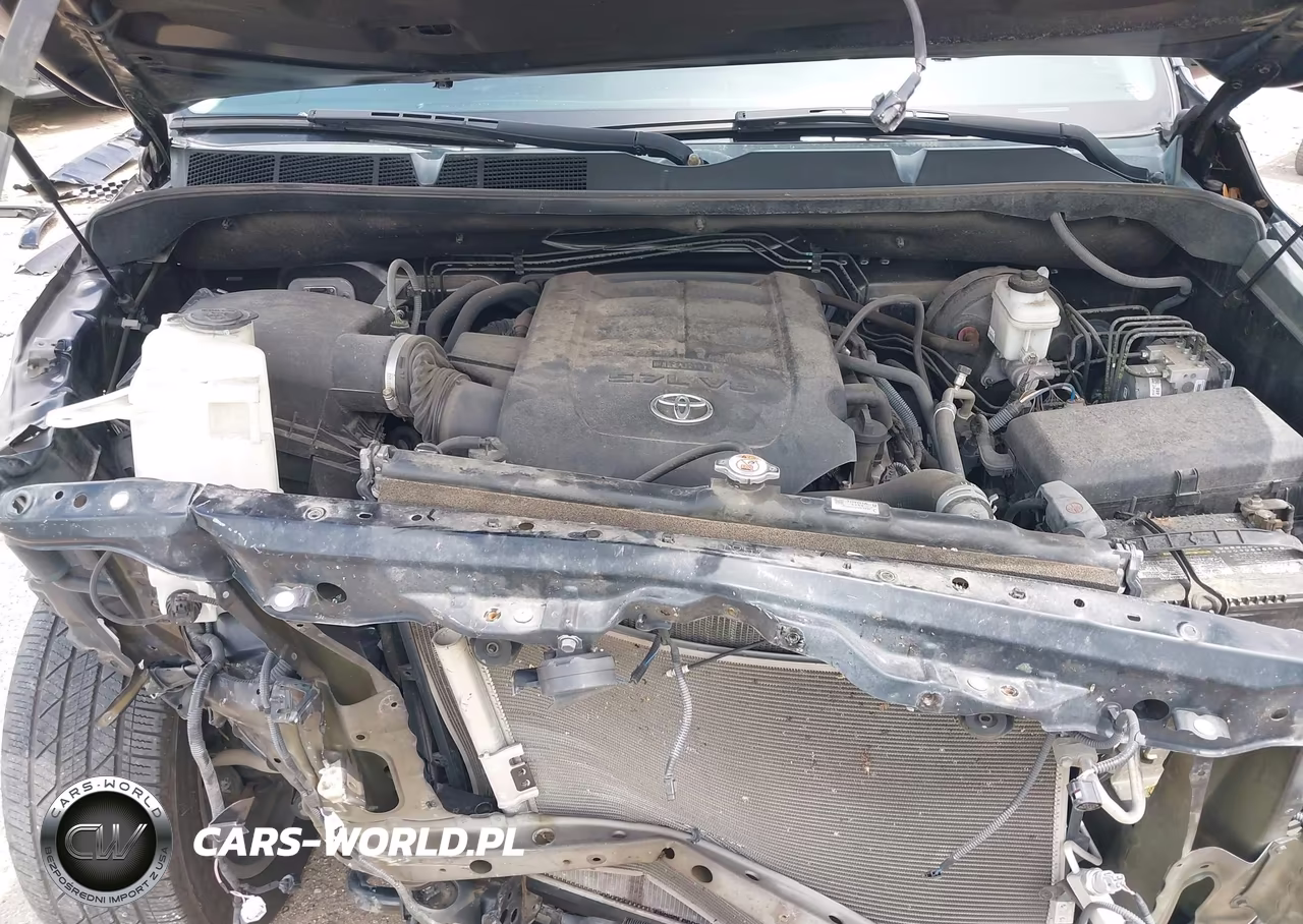 2020 Toyota Tundra 4Wd Platinum VIN:5TFAY5F13LX880312 - 10