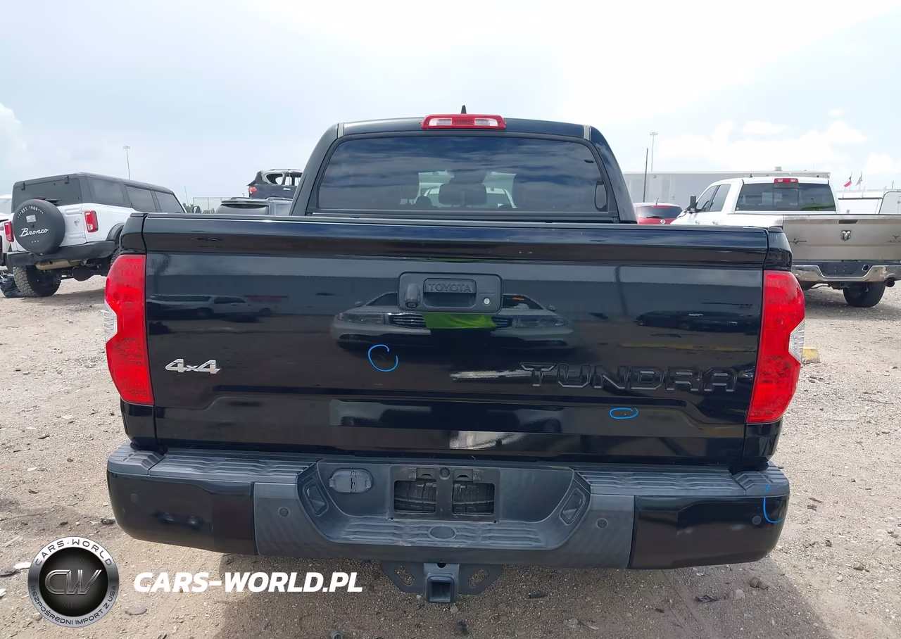 2020 Toyota Tundra 4Wd Platinum VIN:5TFAY5F13LX880312 - 17