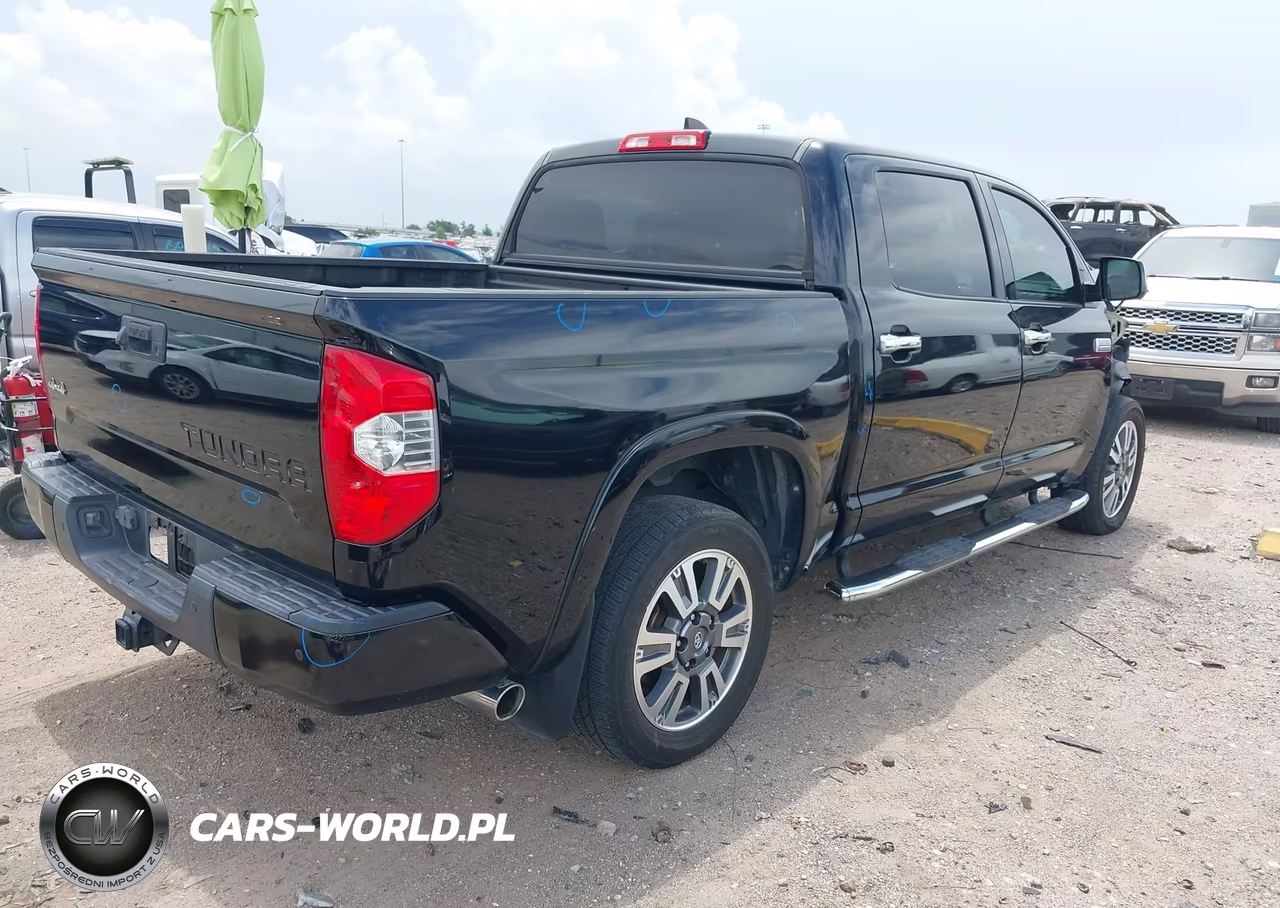 2020 Toyota Tundra 4Wd Platinum VIN:5TFAY5F13LX880312 - 4