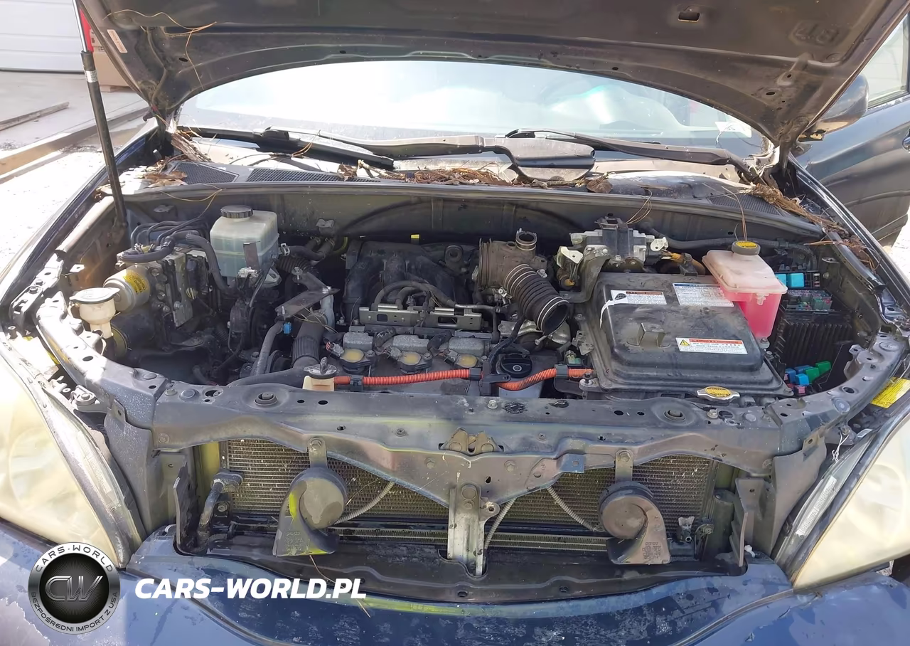 2006 Lexus Rx 400H VIN:JTJHW31U060031226 - 10